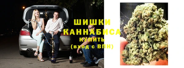 гашик Балахна